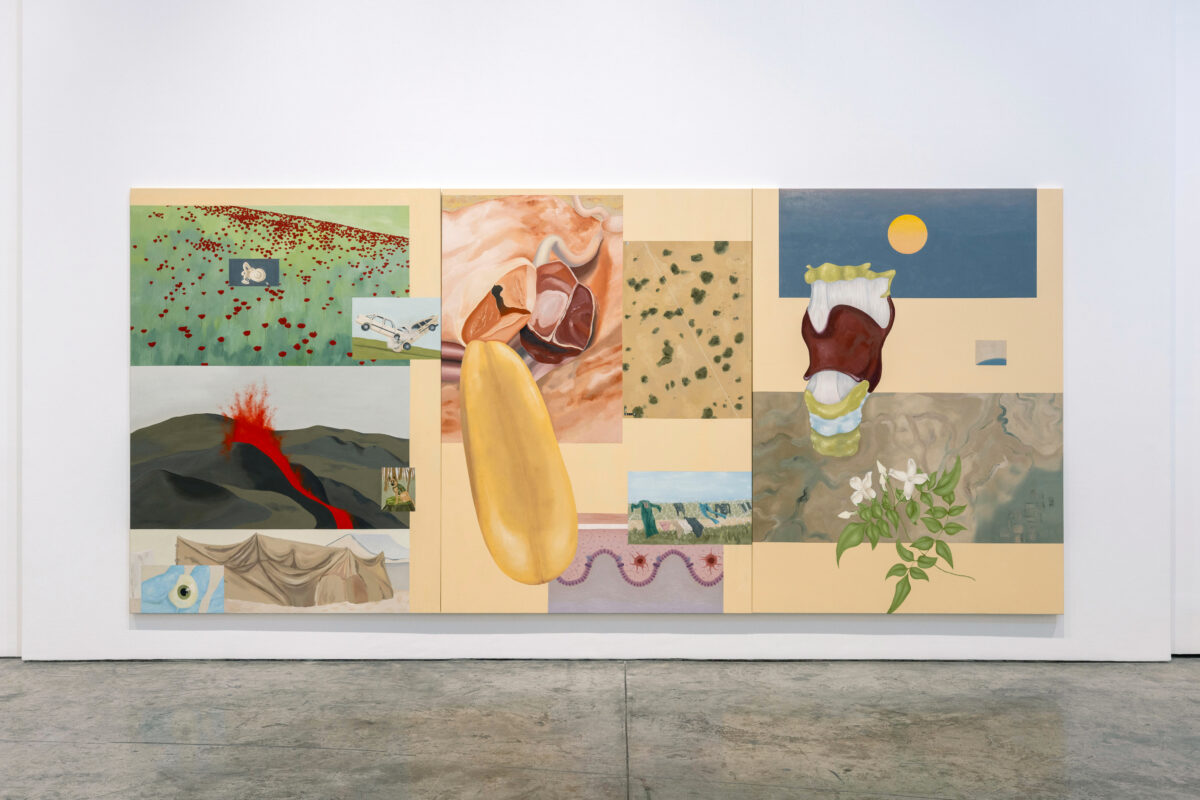 Sara Naim and the perspective of language