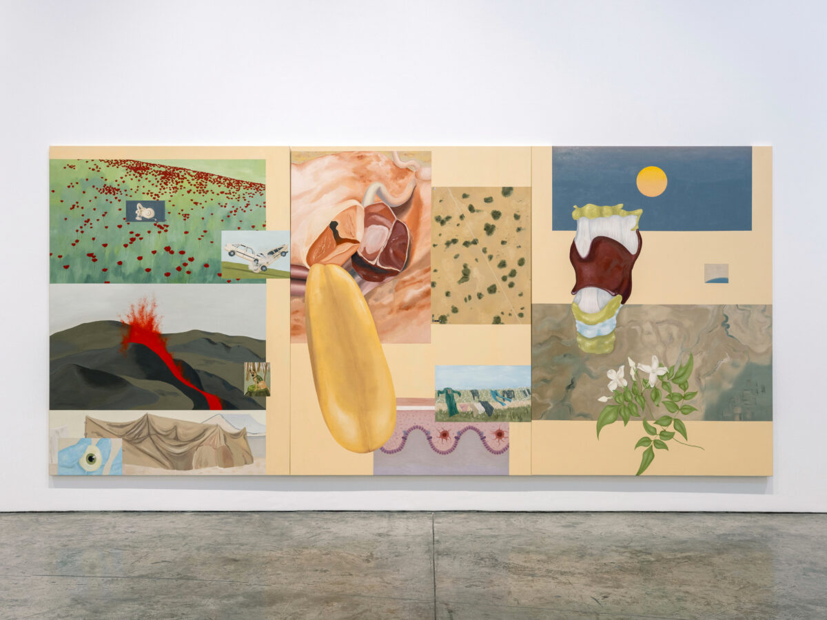 Sara Naim and the perspective of language